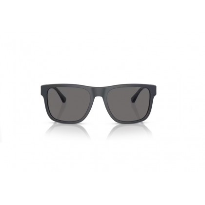 Γυαλιά ηλίου Emporio Armani EA 4163 Polarized