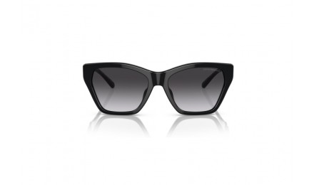 Γυαλιά ηλίου Emporio Armani EA 4203